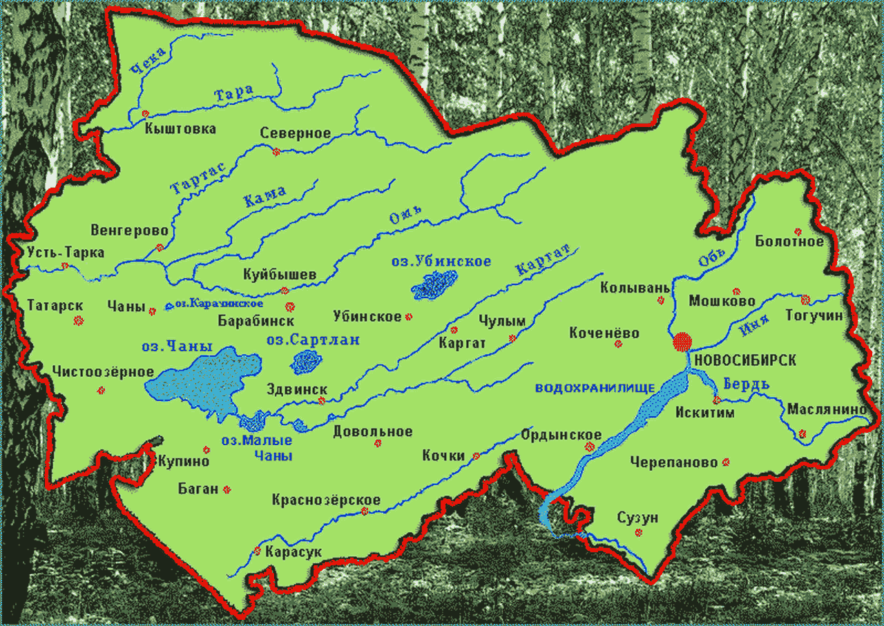 Карта Новосибирской области с районами и реками