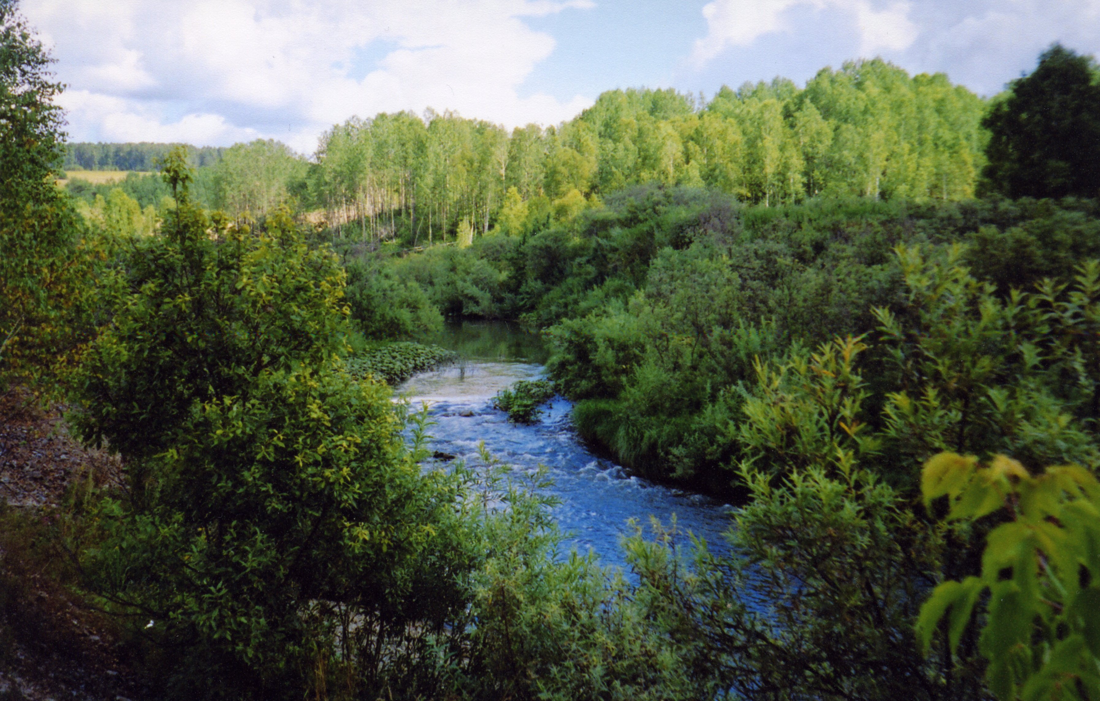 Исток реки Карасук