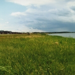 Озеро Горькое, Новосибирская область, Купинский район, 2009 год
