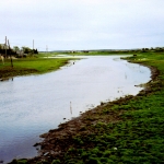 Река Изес у села Меньшиково, Новосибирская Область, Венгеровский район, 2007 год