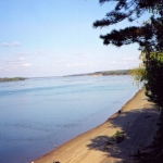 Река Обь - правый берег у деревни Белоярка, Новосибирская область