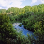 Река Суенга - правый приток Берди, Новосибирская область, 2007 год