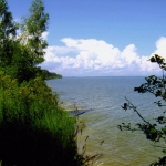 Реки Новосибирского водохранилища, вид с правого берега