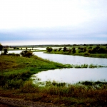 Старицы реки Омь, Новосибирская область, Венгеровский район, 2007 год