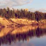 Сибирская тайга, берег реки