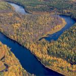 Сибирская тайга, речные русла